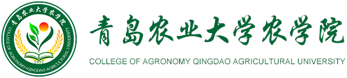 15vip太阳成